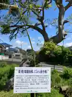 忍男神社(香取神宮摂社)(千葉県)