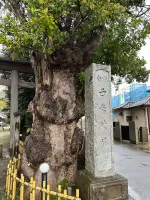 畑子安神社のその他建物