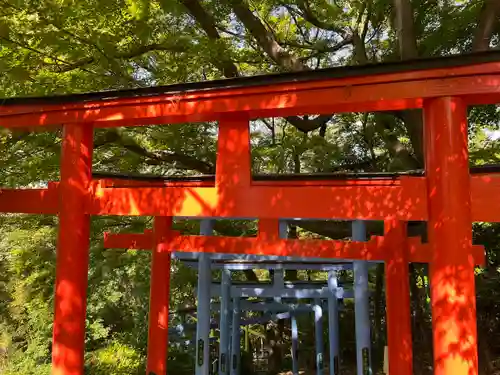 足利織姫神社の鳥居