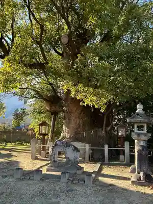 新田白山神社(愛知県)