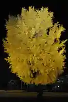 丹生酒殿神社の自然