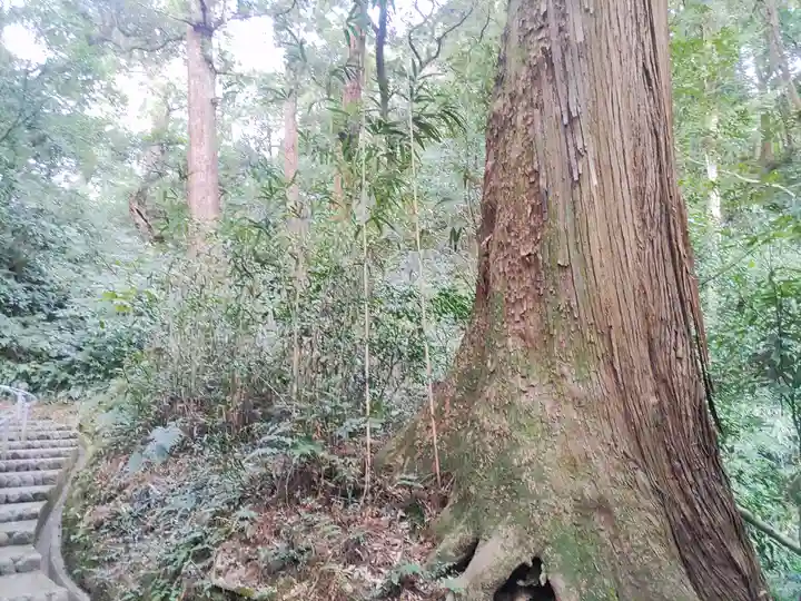 笠森寺(千葉県)