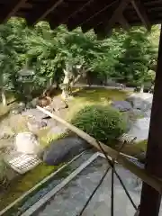 浄妙寺の庭園