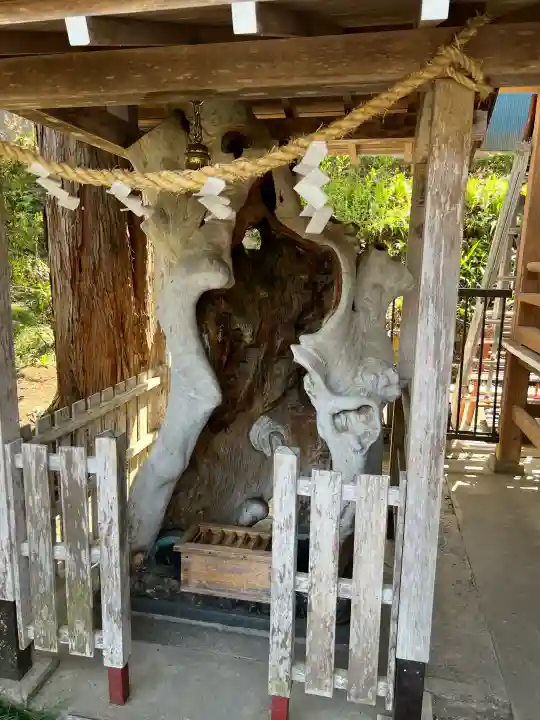 金蛇水神社の{uncategorized: "未分類", other: "その他", undefined: "問題あり", building: "その他建物", grave: "お墓", sacred_gate: "鳥居", guardian: "狛犬", statue: "像", buddha: "仏像", history: "歴史", nature: "自然", garden: "庭園", animal: "動物", pagoda: "塔", temizu: "手水舎", mountain_gate: "山門・神門", sanctuary: "本殿・本堂", subordinate: "末社・摂社", art: "芸術", scenery: "景色", jizo: "地蔵", ema: "絵馬", goshuin: "御朱印", omikuji: "おみくじ", items: "授与品その他", amulet: "お守り", goshuincho: "御朱印帳", eats: "食事", festival: "お祭り", votive_dance: "神楽", shichigosan: "七五三参", wedding: "結婚式", experience: "体験その他", initially: "初詣", around: "周辺", anti_infection: "感染症対策"}