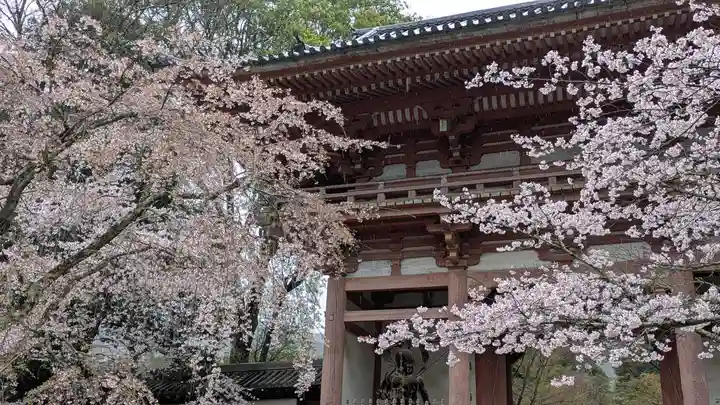 醍醐寺(京都府)