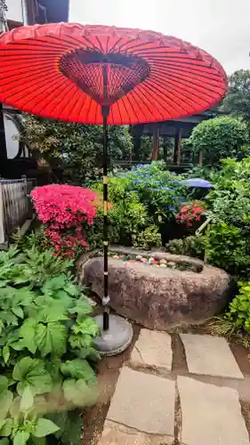 一乗寺の手水舎