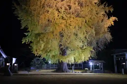 丹生酒殿神社の自然