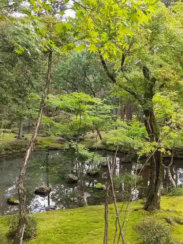西芳寺(京都府)