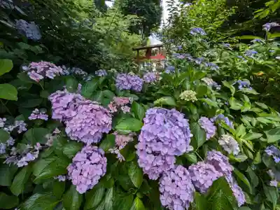 御霊神社の自然