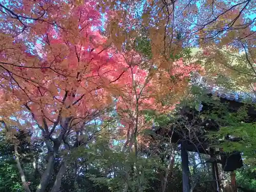 龍尾寺(大阪府)