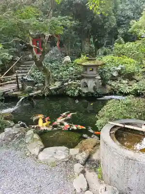 一條殿 新善光寺(京都府)