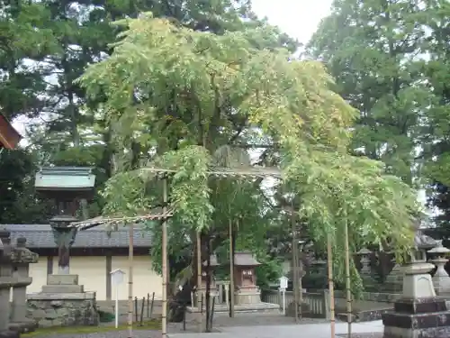 多賀大社の自然