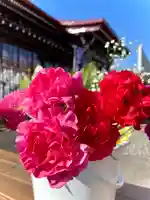 伊達神社の自然