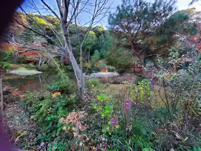 浄瑠璃寺(京都府)