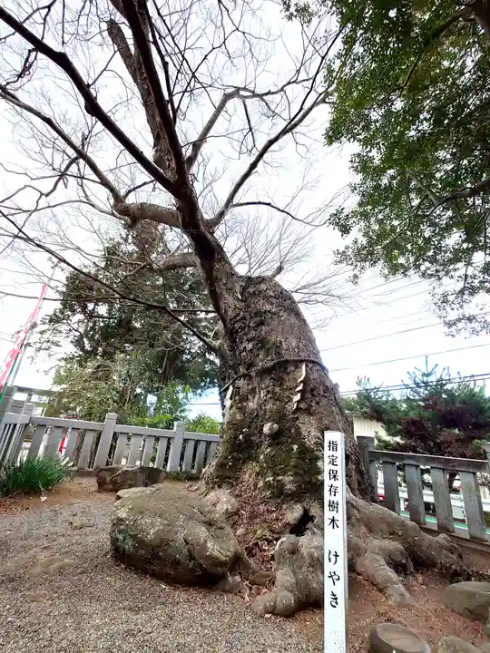 比比多神社(子易明神)(神奈川県)