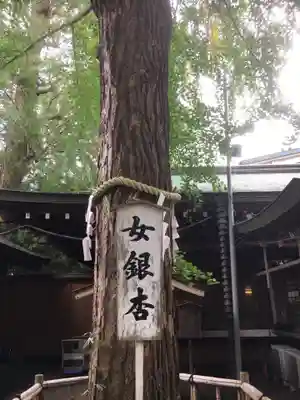大宮八幡宮のその他建物