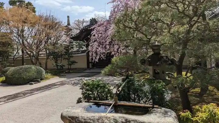 妙顯寺(妙顕寺)(京都府)