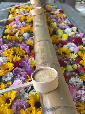 群馬県護国神社(群馬県)