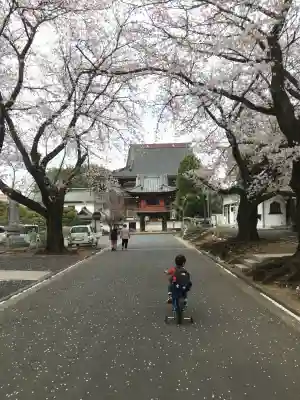 大應寺の{uncategorized: "未分類", other: "その他", undefined: "問題あり", building: "その他建物", grave: "お墓", sacred_gate: "鳥居", guardian: "狛犬", statue: "像", buddha: "仏像", history: "歴史", nature: "自然", garden: "庭園", animal: "動物", pagoda: "塔", temizu: "手水舎", mountain_gate: "山門・神門", sanctuary: "本殿・本堂", subordinate: "末社・摂社", art: "芸術", scenery: "景色", jizo: "地蔵", ema: "絵馬", goshuin: "御朱印", omikuji: "おみくじ", items: "授与品その他", amulet: "お守り", goshuincho: "御朱印帳", eats: "食事", festival: "お祭り", votive_dance: "神楽", shichigosan: "七五三参", wedding: "結婚式", experience: "体験その他", initially: "初詣", around: "周辺", anti_infection: "感染症対策"}