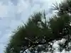 西方山極楽寺(岐阜県)