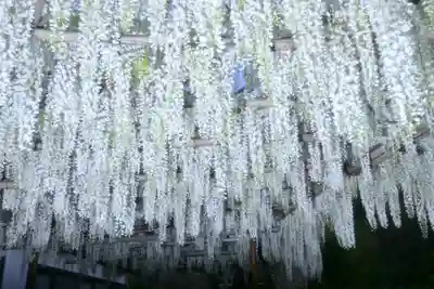 白旗神社(神奈川県)