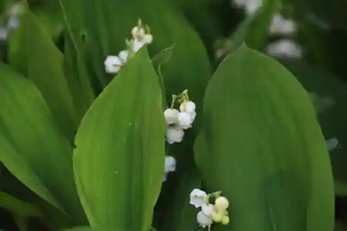 阿邪訶根神社の庭園