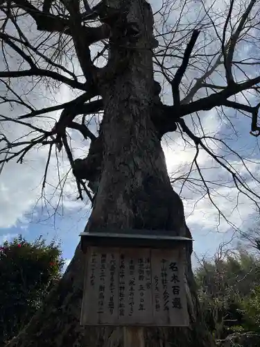 中山神社(岡山県)