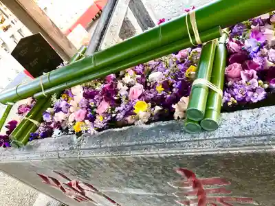 草加神社(埼玉県)