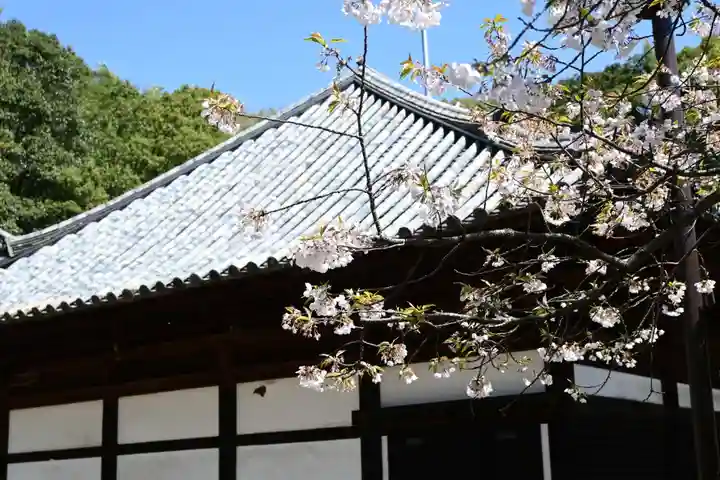 大宝寺(愛媛県)