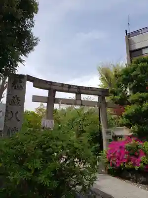 鳩森八幡神社(東京都)