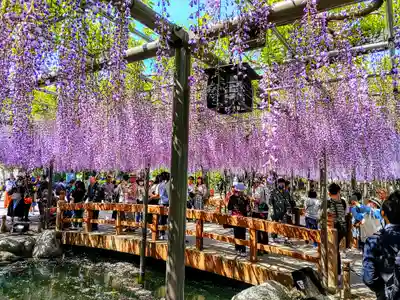 津島神社の周辺