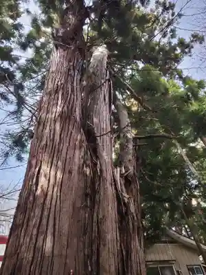 磐椅神社(福島県)