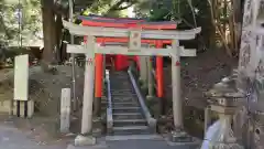 大杉神社(茨城県)