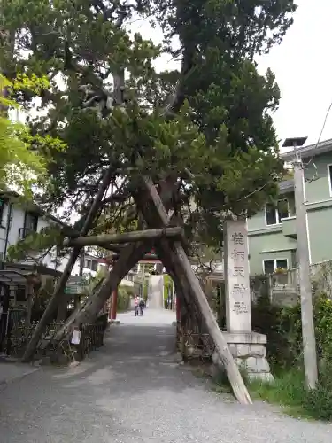 荏柄天神社(神奈川県)