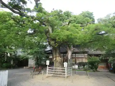 生根神社(大阪府)