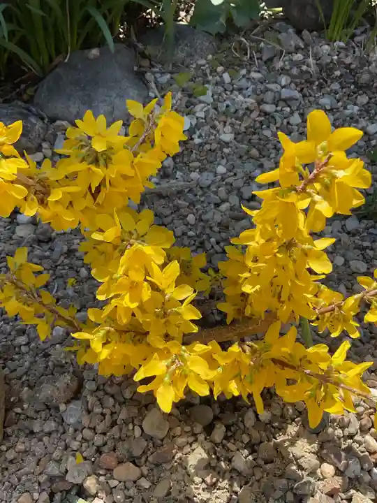 三輪神社(愛知県)