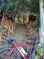 天津神社の鳥居