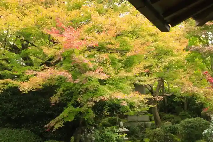 源光庵(京都府)