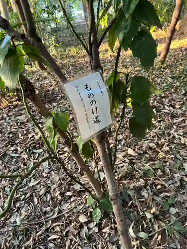 氷川女體神社(埼玉県)