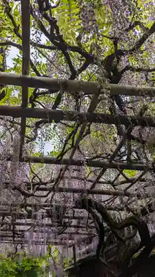 長岡天満宮(京都府)