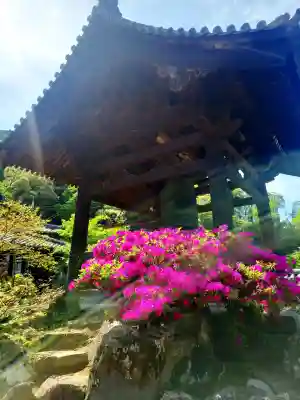興聖寺（興聖寶林禅寺）の{uncategorized: "未分類", other: "その他", undefined: "問題あり", building: "その他建物", grave: "お墓", sacred_gate: "鳥居", guardian: "狛犬", statue: "像", buddha: "仏像", history: "歴史", nature: "自然", garden: "庭園", animal: "動物", pagoda: "塔", temizu: "手水舎", mountain_gate: "山門・神門", sanctuary: "本殿・本堂", subordinate: "末社・摂社", art: "芸術", scenery: "景色", jizo: "地蔵", ema: "絵馬", goshuin: "御朱印", omikuji: "おみくじ", items: "授与品その他", amulet: "お守り", goshuincho: "御朱印帳", eats: "食事", festival: "お祭り", votive_dance: "神楽", shichigosan: "七五三参", wedding: "結婚式", experience: "体験その他", initially: "初詣", around: "周辺", anti_infection: "感染症対策"}