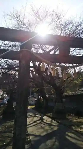 前玉神社の鳥居