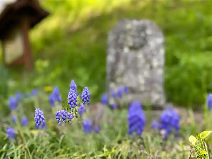 国宝 大法寺の自然