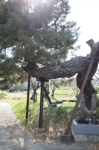 興長禅寺の自然