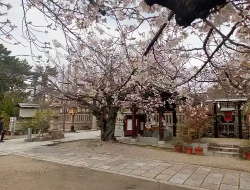 阿部野神社(大阪府)