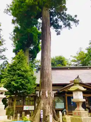 山倉大神(千葉県)