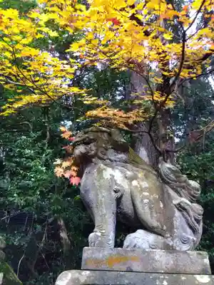 丹生神社(福井県)