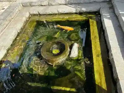 槻井泉神社(長野県)