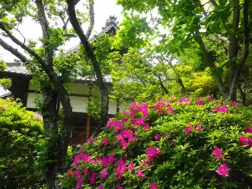 浄光明寺の庭園