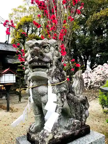 諏訪神社の狛犬